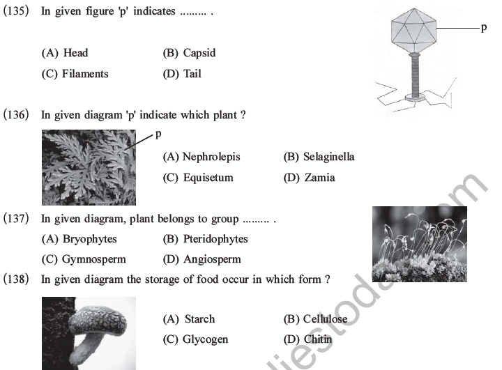 NEET Biology Classification of Plant Kingdom MCQs Set A, Multiple